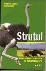 Strutul - Christoph Kistner 