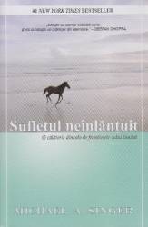 Sufletul neinlantuit - Michael A. Singer 