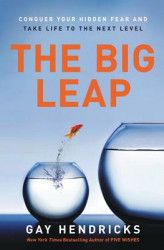 The Big Leap Conquer Your Hidden Fear and Take Life to the Next Level 
