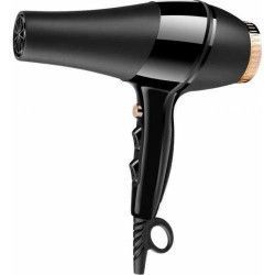 Uscator de Par 2400 W 2 trepte viteza 3 trepte incalzire Negru/Auriu 