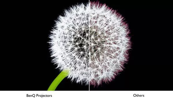imagine produs