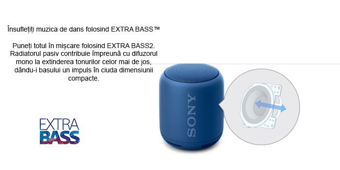 sony srsxb10w