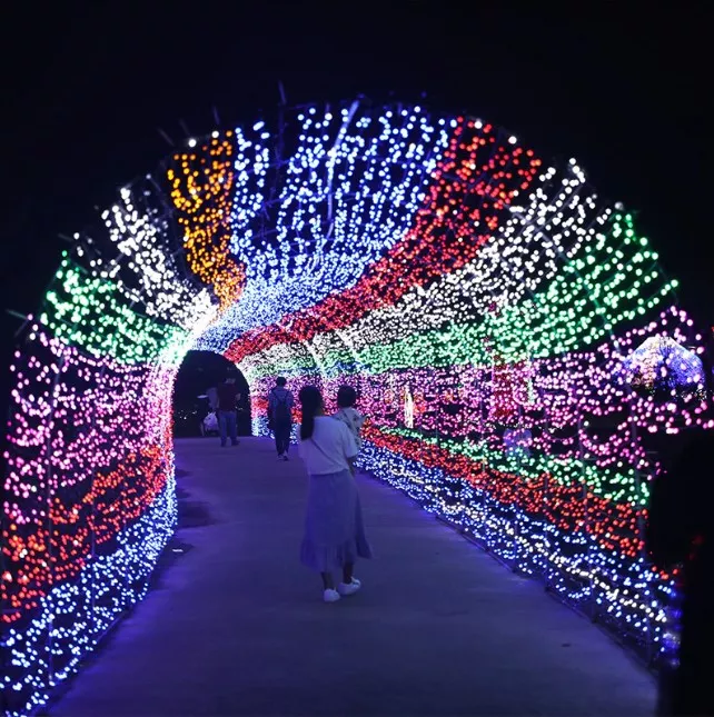 Instalatie de Craciun Phuture® Led-uri Liniare cu 100 Led-uri decoratiune si ornamente Led-uri Multicolore