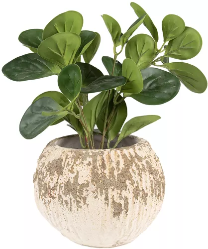 Ghiveci ceramica bej maro 18x13 cm